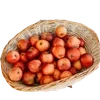 🌟 Эмодзи «Slavic Red Vibe» для Telegram