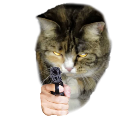 🔫 Стикер «Котики с пистолетами» для Telegram