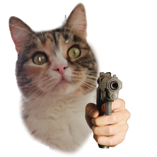 🔫 Стикер «Котики с пистолетами» для Telegram