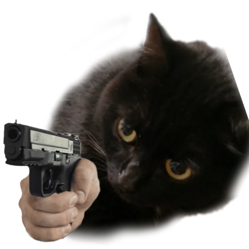 🔫 Стикер «Котики с пистолетами» для Telegram