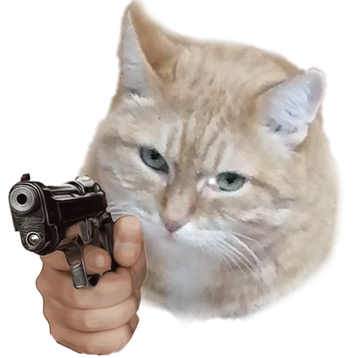 🔫 Стикер «Котики с пистолетами» для Telegram