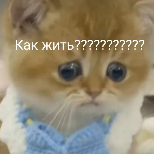 😣 Стикер «Ebatь Raznos Nahyi» для Telegram