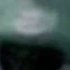 🤩 Эмодзи «Планктон» для Telegram