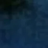 🤩 Эмодзи «Планктон» для Telegram