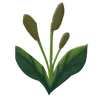 🌟 Эмодзи «Plants» для Telegram