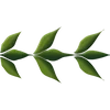 🌟 Эмодзи «Plants» для Telegram