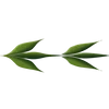 🌟 Эмодзи «Plants» для Telegram