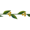 🌟 Эмодзи «Plants» для Telegram