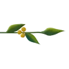 🌟 Эмодзи «Plants» для Telegram