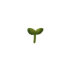🌟 Эмодзи «Plants» для Telegram