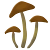 🌟 Эмодзи «Plants» для Telegram