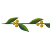 🌟 Эмодзи «Plants» для Telegram