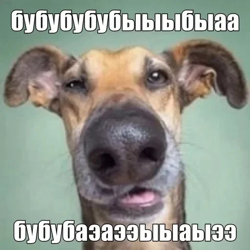 🌟 Стикер «Полное говно» для Telegram
