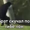 💪 Эмодзи «Пон» для Telegram