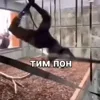 👎 Эмодзи «Пон» для Telegram
