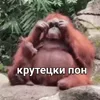 😎 Эмодзи «Пон» для Telegram