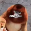 😚 Эмодзи «Пон» для Telegram