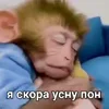 😴 Эмодзи «Пон» для Telegram