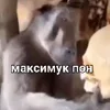 😐 Эмодзи «Пон» для Telegram