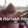 🚗 Эмодзи «Пон» для Telegram