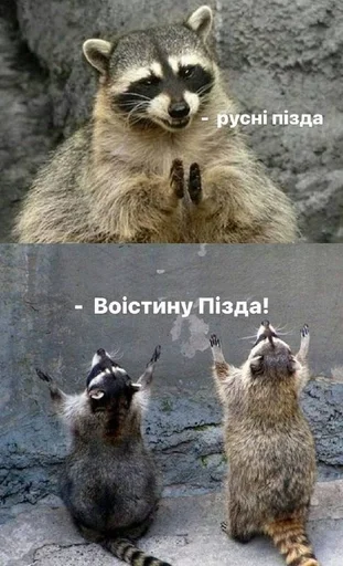 🇷🇺 Стикер «POROSHENKO» для Telegram