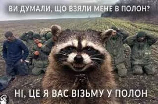 ⛔️ Стикер «POROSHENKO» для Telegram