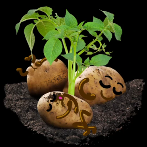 😴 Стикер «Potato» для Telegram
