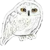 🦉 Эмодзи «Гарри Поттер иконки» для Telegram
