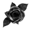 🖤 Эмодзи «Mylovepac» для Telegram