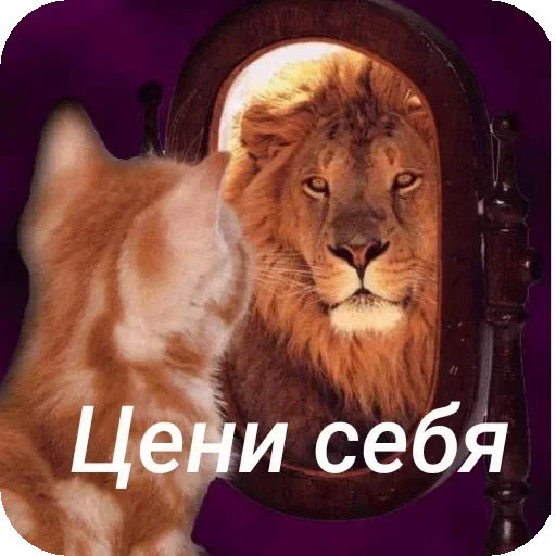 🐱 Стикер «Пожелания Разное» для Telegram