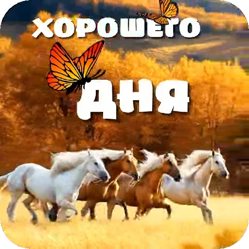 🎈 Стикер «Пожелания Разное» для Telegram