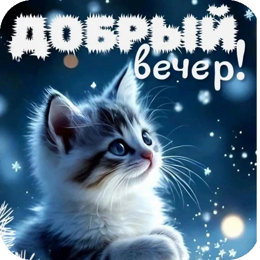 🐱 Стикер «Пожелания Разное» для Telegram