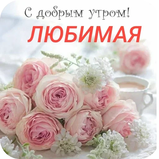 🌸 Стикер «Пожелания Разное» для Telegram