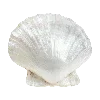 🐚 Эмодзи «❤ Набор эмоджи с милыми вещичками» для Telegram
