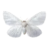 🦋 Эмодзи «❤ Набор эмоджи с милыми вещичками» для Telegram