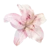 🌸 Эмодзи «❤ Набор эмоджи с милыми вещичками» для Telegram