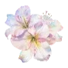 🌺 Эмодзи «❤ Набор эмоджи с милыми вещичками» для Telegram