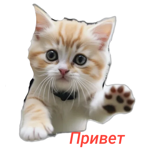 ✋ Стикер «Приветы» для Telegram