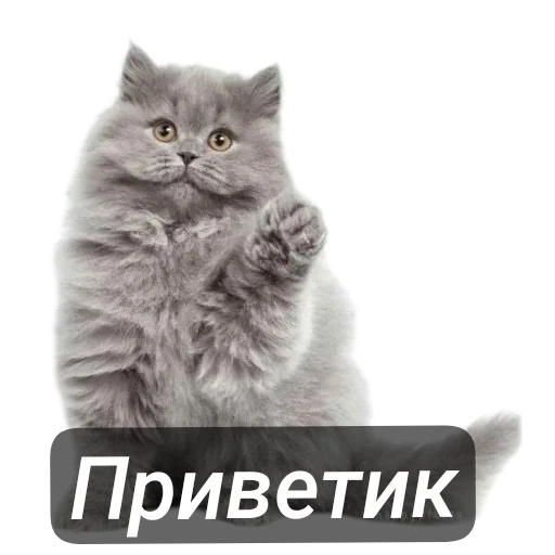 👋 Стикер «Приветы» для Telegram