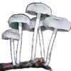 🍄 Эмодзи «𝑃𝑠𝑦𝑐𝒉𝑒𝑑𝑒𝑙𝑖𝑐» для Telegram