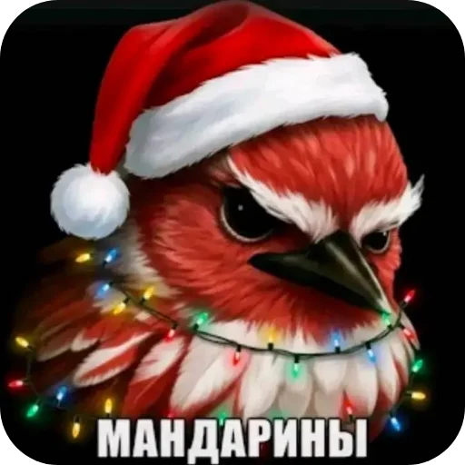 🎄 Стикер «Вряд-ли птица» для Telegram