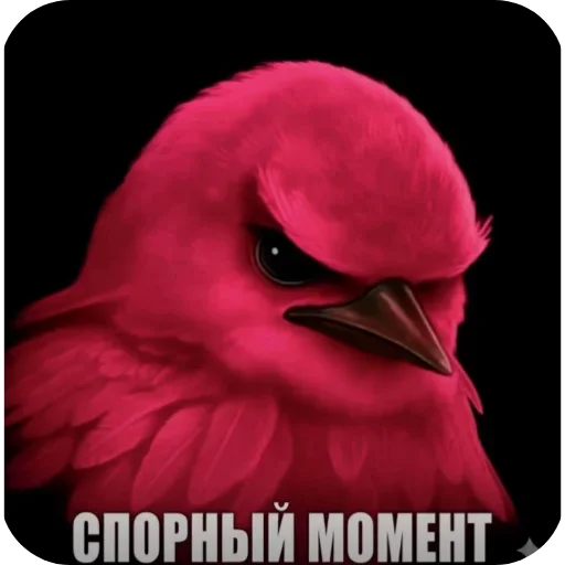 🐦 Стикер «Вряд-ли птица» для Telegram