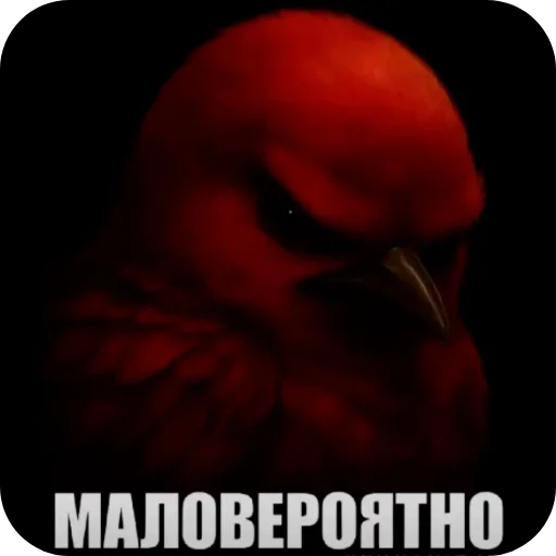 🐦 Стикер «Вряд-ли птица» для Telegram