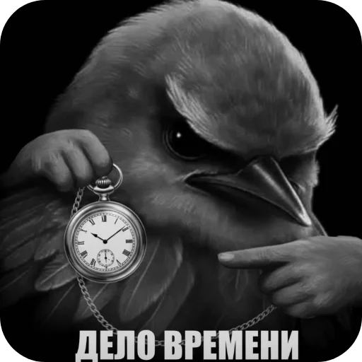 🖼 Стикер «Вряд-ли птица» для Telegram