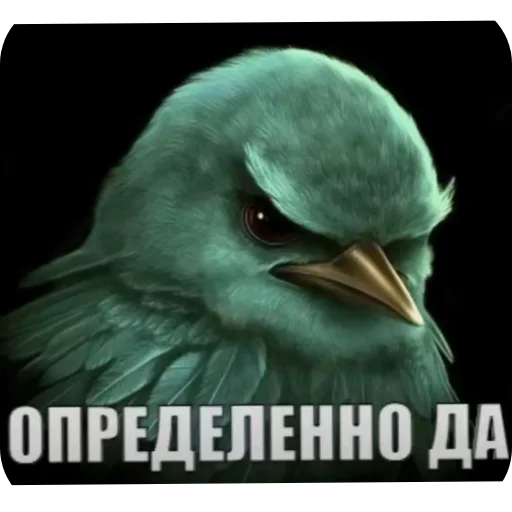 🐦 Стикер «Вряд-ли птица» для Telegram