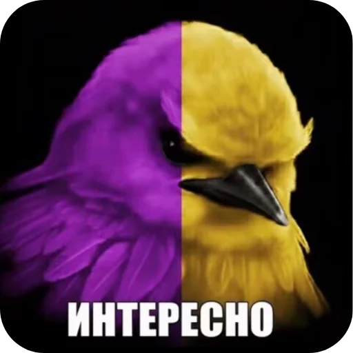 🐦 Стикер «Вряд-ли птица» для Telegram