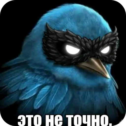 🍗 Стикер «Вряд-ли птица» для Telegram