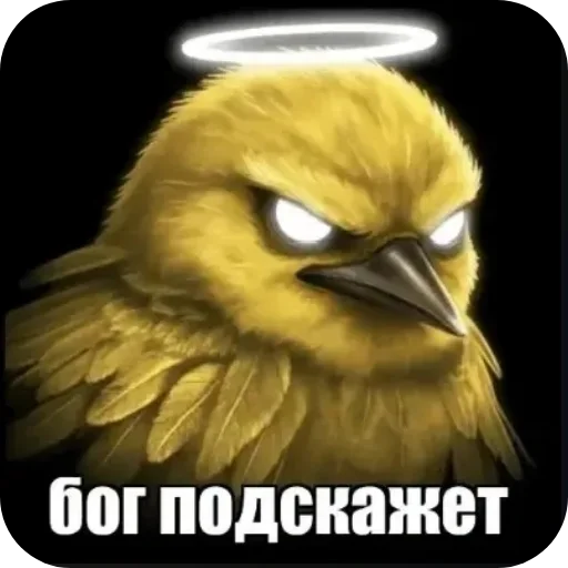 🐦 Стикер «Вряд-ли птица» для Telegram