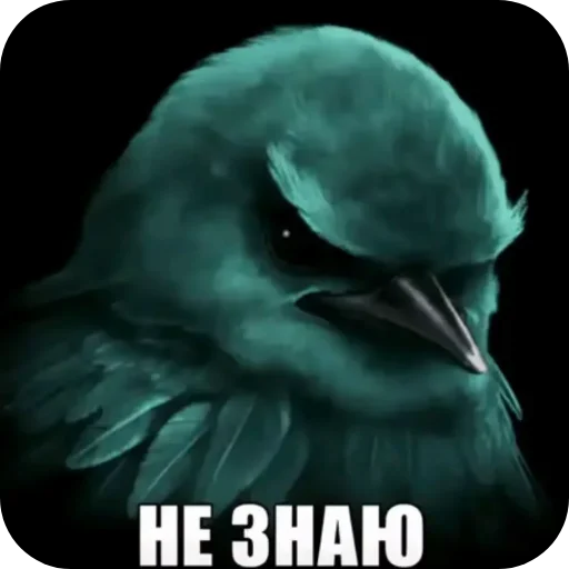 🖼 Стикер «Вряд-ли птица» для Telegram