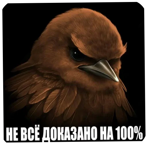 🐦 Стикер «Вряд-ли птица» для Telegram